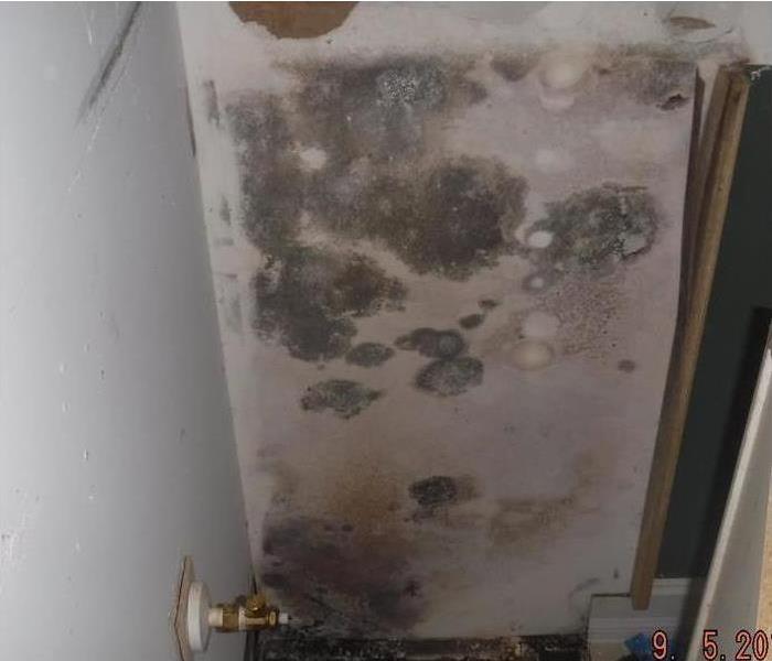 A wall filled of black mold