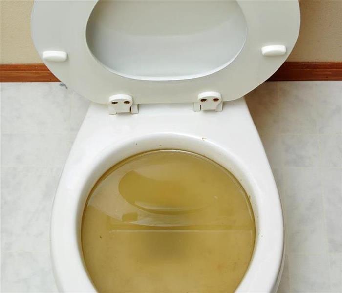 A toilet with standing water
