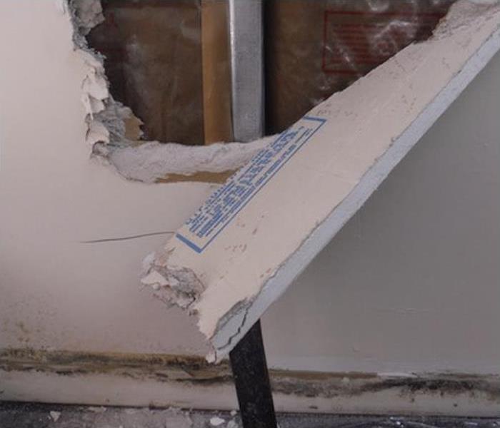 Mold found behind drywall